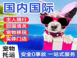 嫩江墨尔根机场货运国际宠物托运 【国